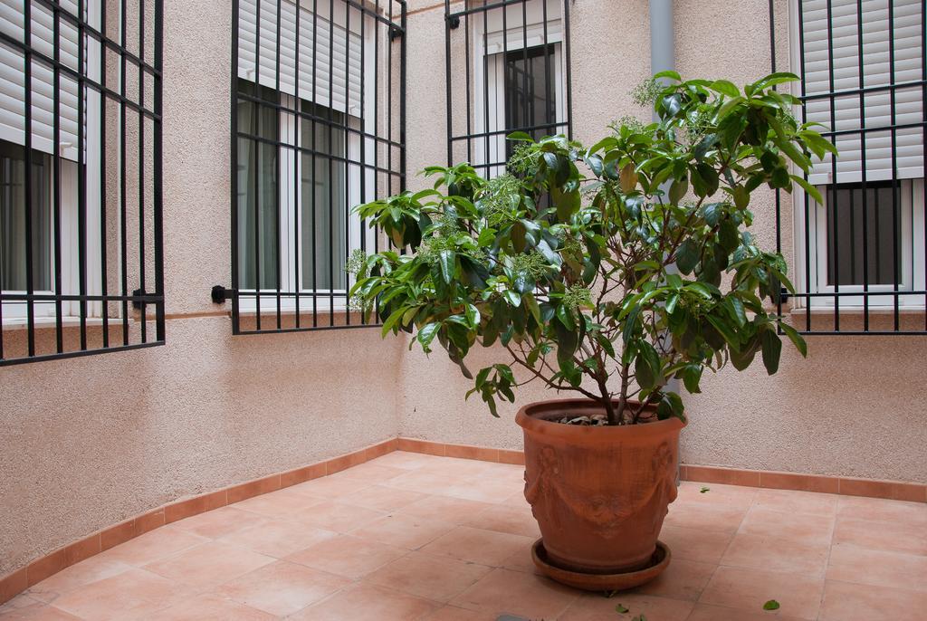 אלקזר דה סן חואן Hotel Hidalgo Quijada מראה חיצוני תמונה